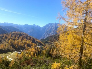 Bungalow Schönau am Königssee Environment 26