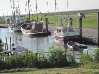 Krabbenkutter im Sielhafen gleich hinter dem Deich