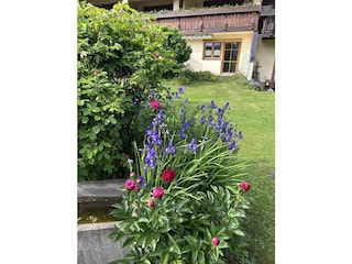 Unser schöner Garten