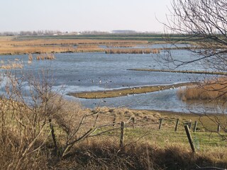 Casa per le vacanze Kamperland Ambiente 17