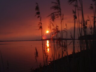 Casa per le vacanze Kamperland Ambiente 18