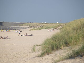 Vakantiehuis Kamperland Omgeving 17