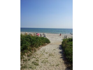Access to the beach