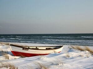 Holiday house in the forest and on the beach - Hasselberg - image1