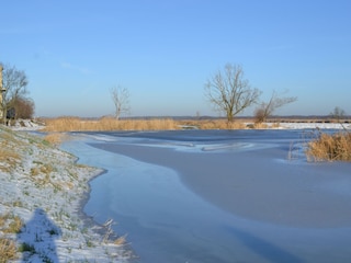 Winter an der Oder