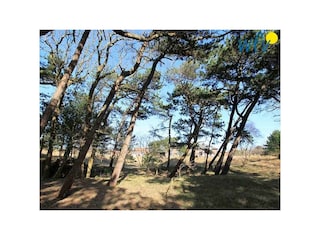 Vakantieappartement Borkum Buitenaudio-opname 5