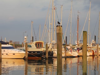 Abendstimmung am Yachthafen