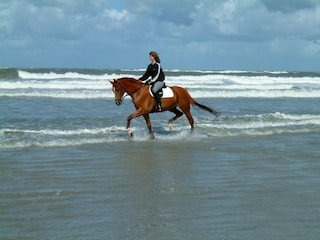 Reitvergnügen am Strand