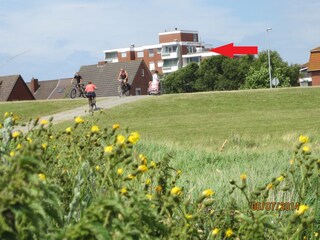 Blick vom Deich auf Lüttje Legde 11 mit Dachterrasse