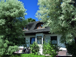 Reeddachhaus am Strand