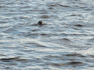 Casa per le vacanze Lur Ambiente 15