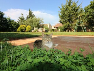 Casa de vacaciones Porec Grabación al aire libre 10