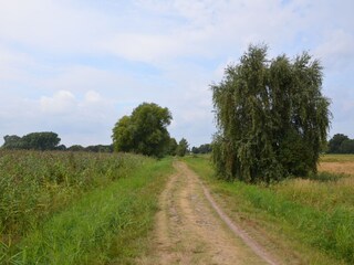 Vakantieappartement Loddin Omgeving 30