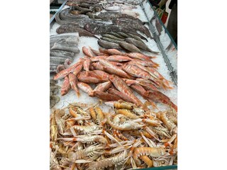 fish market in the old city center