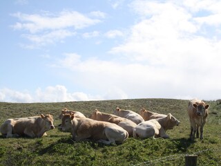 Appartamento per vacanze Callantsoog Ambiente 27