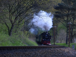 Genießen Sie eine Fahrt mit dem 'Rasenden Roland'.