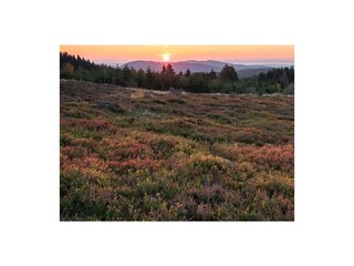 Appartamento per vacanze Winterberg Documento 27