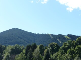Vom Balkon auf das "Hörnle"