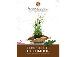 Deuitschlands höchstgelegenes Moorheilbad