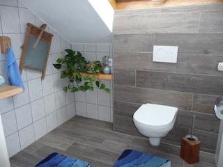 separates WC