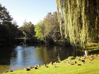 Kurpark mit Ententeich