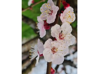 Vakantieappartement Kuens Buitenaudio-opname 23