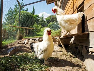 Vakantieappartement Kuens Buitenaudio-opname 7