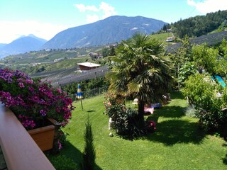 Blick vom Balkon auf die Liegewiese