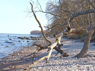 Naturstrand Katharinenhof auf Fehmarn