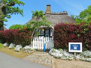 Casa per le vacanze Kappeln (Stadt) Registrazione all'aperto 12