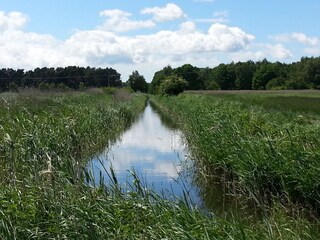 Appartamento per vacanze Glowe Ambiente 14