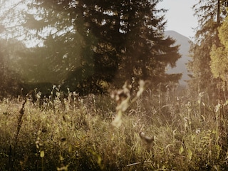 Chalet Rottach-Egern Outdoor Recording 15