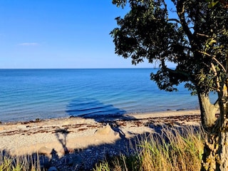Naturküste am Staberhuk auf Fehmarn