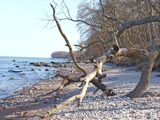 Naturstrand Katharinenhof auf Fehmarn
