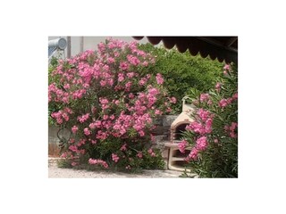 Vakantieappartement Punat Buitenaudio-opname 9