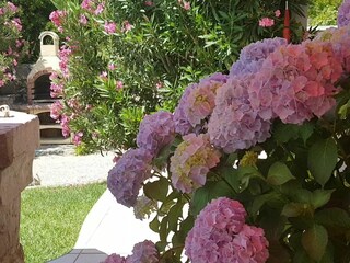 Vakantieappartement Punat Buitenaudio-opname 8