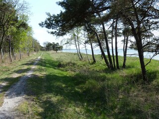 Boddenlandschaft in Glowe