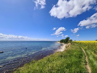 Naturküste am Staberhuk auf Fehmarn