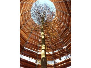 Appartamento per vacanze Glowe Ambiente 19