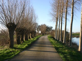 Appartamento Cadzand-Bad Ambiente 20