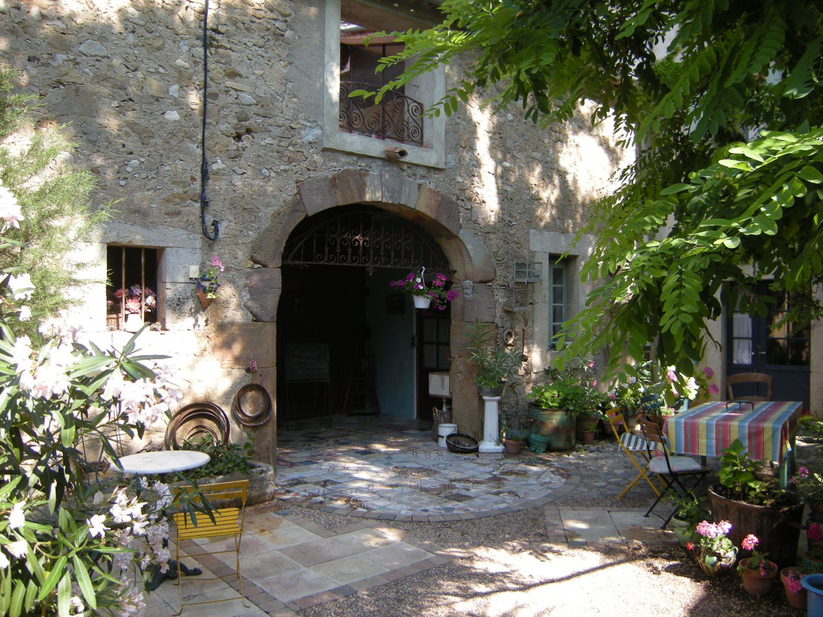 Under the fig tree