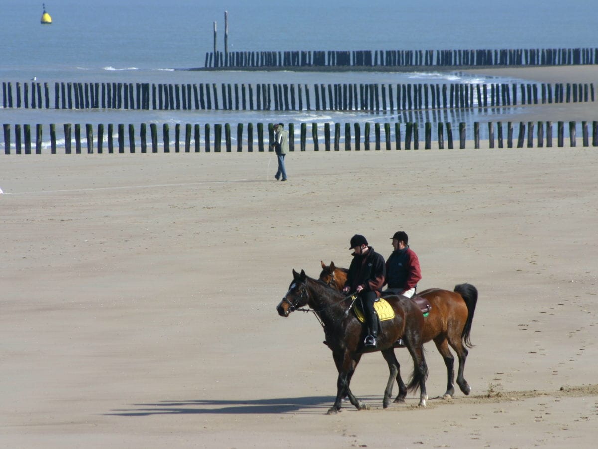 Reiten am Strand