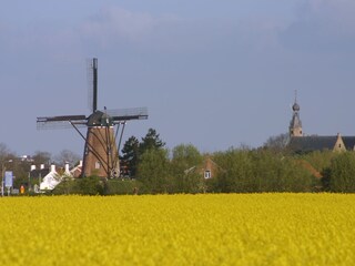 Appartamento per vacanze Cadzand-Bad Ambiente 13