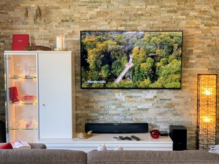 TV-Genuss (+SKY) mit dem 65" OLED