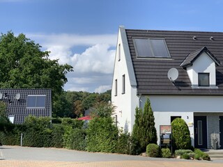 Grüner Sichtschutz rund ums Haus