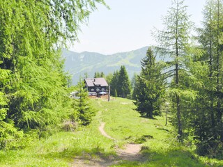 Vakantiehuis Kleinarl  20
