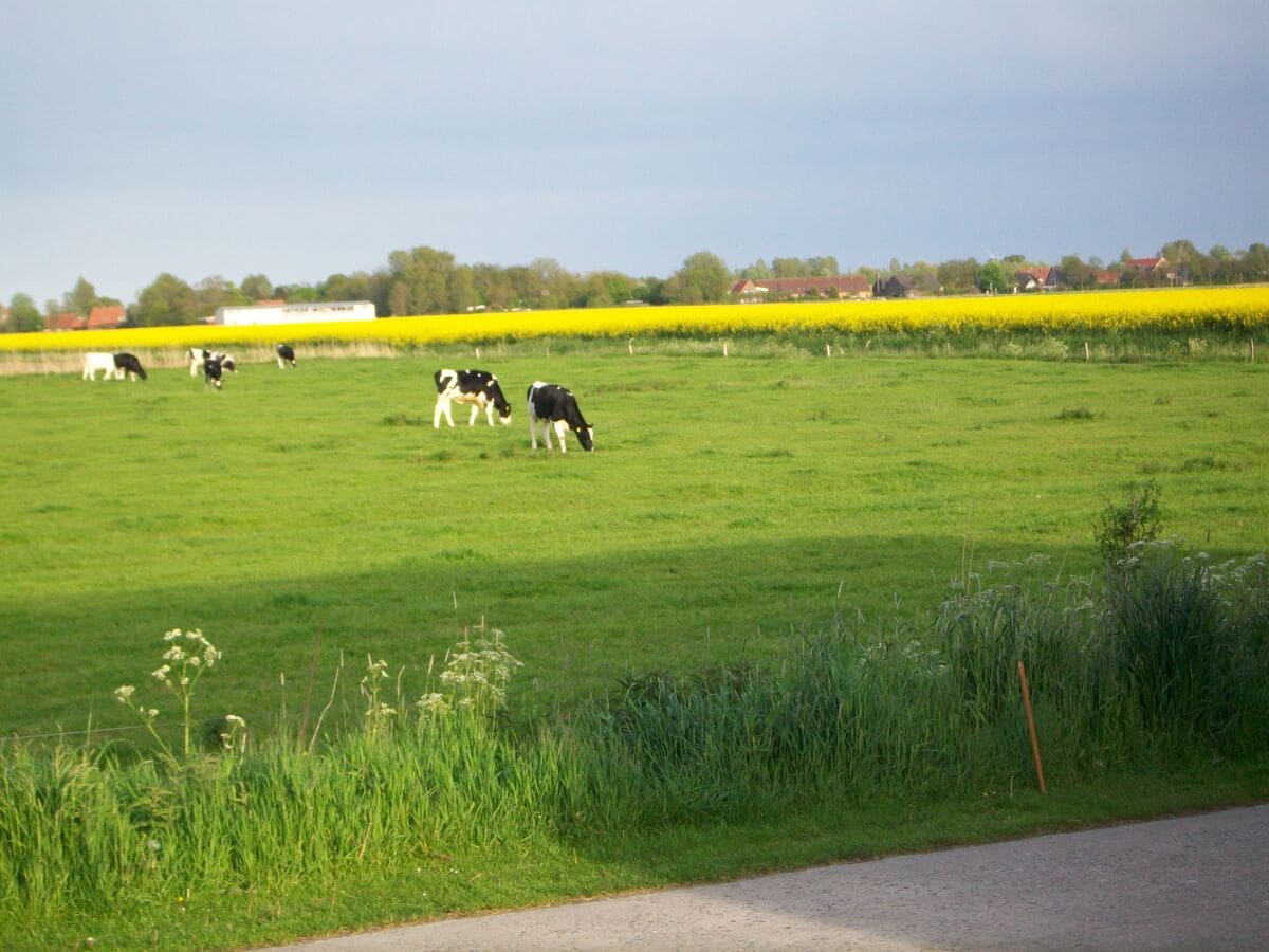 ländliche Umgebung