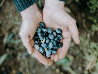 Casa per le vacanze Diano San Pietro Ambiente 22