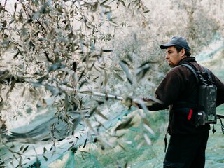 Casa per le vacanze Diano San Pietro Ambiente 23