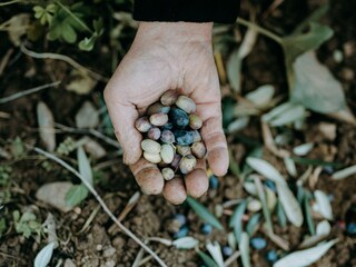 Casa per le vacanze Diano San Pietro Ambiente 26